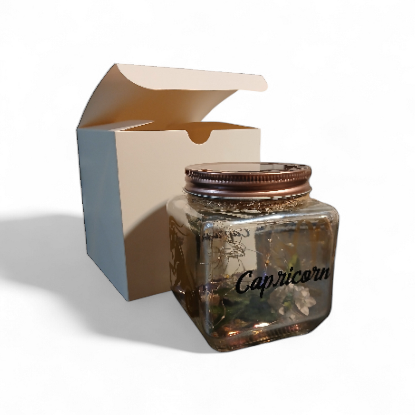 Illuminant-Capricorn Zodiac