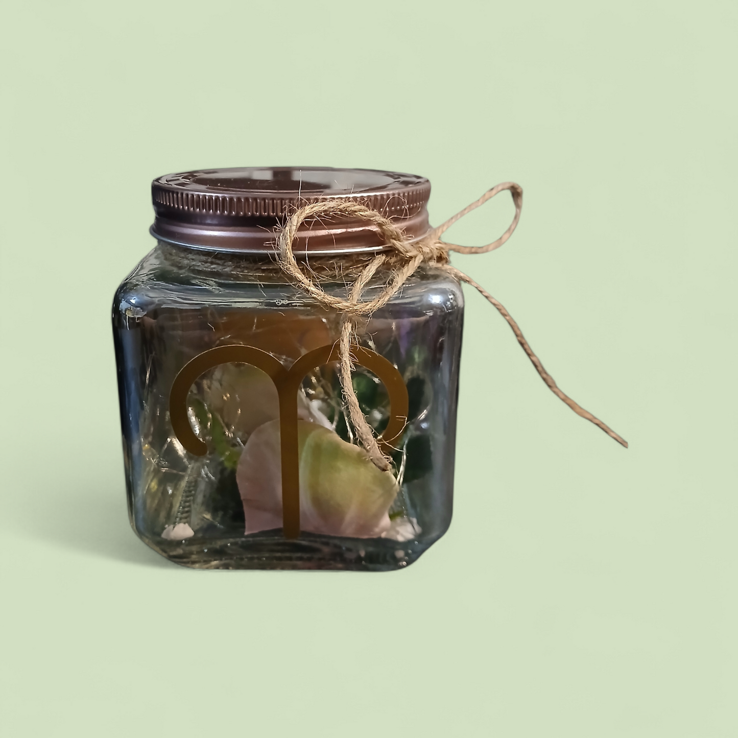 Illuminant-Zodiac Aries