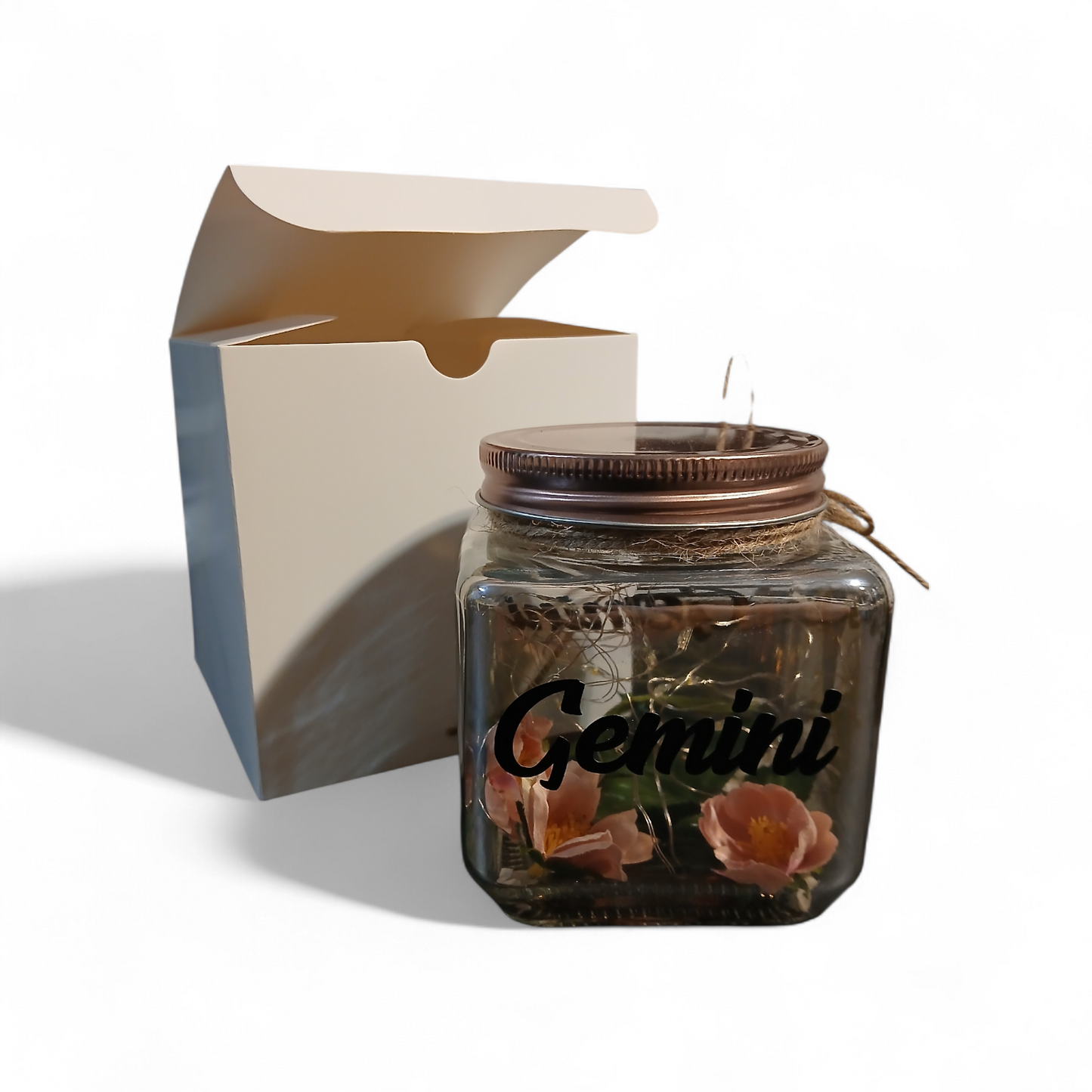 Illuminant-Gemini Zodiac